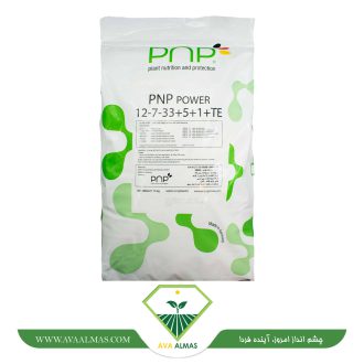 عکس PNP POWER 12-7-33+5+1+TE