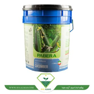 عکس پابرا خیار