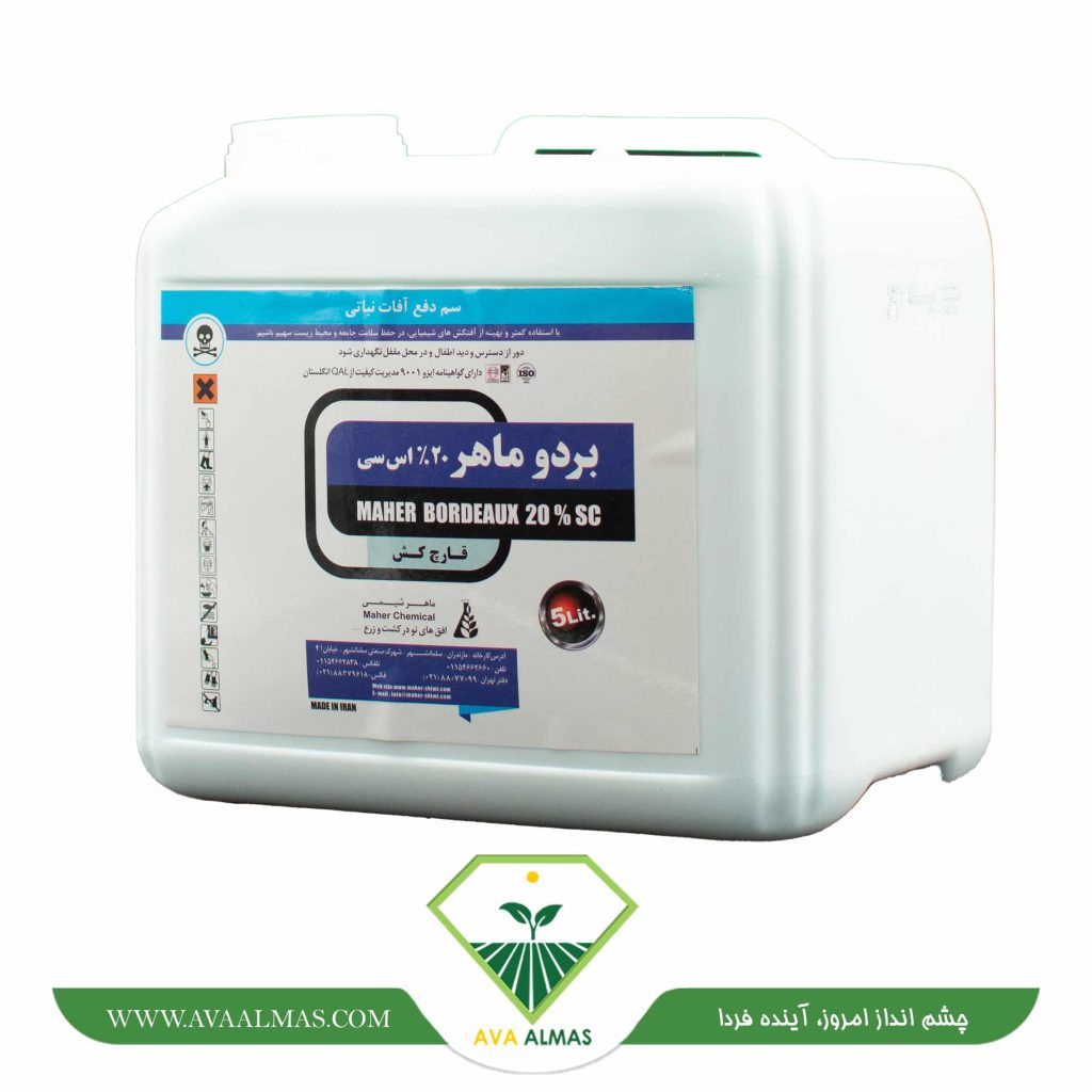عکس بردو ماهر