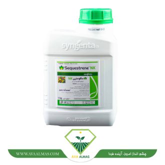عکس سکوسترن NK