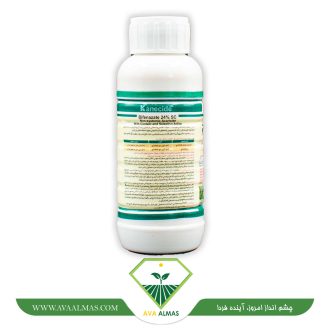 عکس کنه ساید(بی فنازیت)