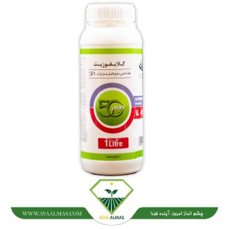 عکس گلایفوزیت گیاه