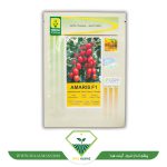 عکس بذر گوجه زیتونی آماریس F1