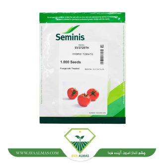 عکس بذر گوجه گلخانه ای 3725 سمینیس