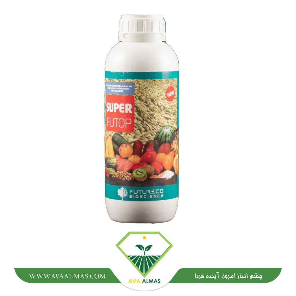 عکس سوپر فیوتاپ فروغ دشت (Super futop)