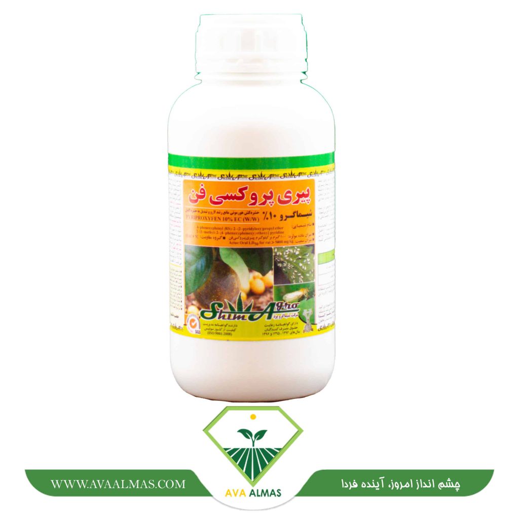 عکس پیری پروکسی فن شیماگرو