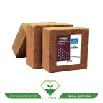 عکس کوکوپیت زیگلر