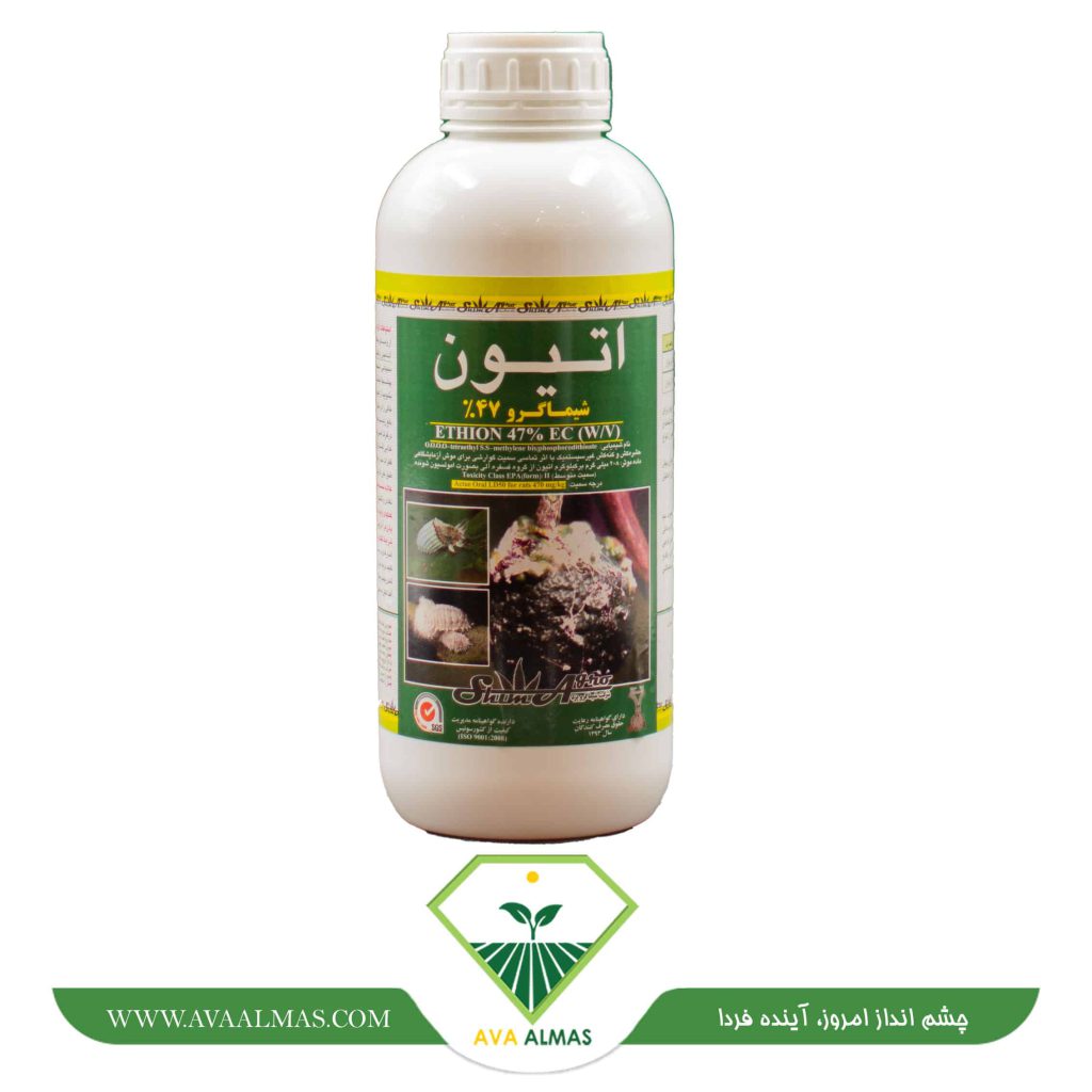 عکس سم اتیون شیماگرو